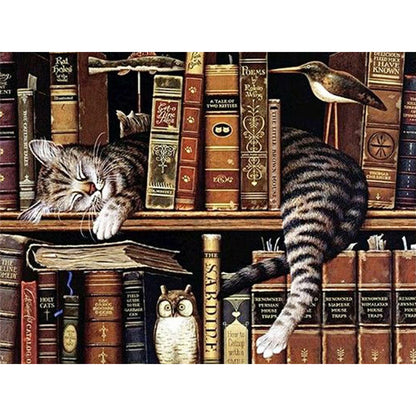 Cat On Bookshelf - Full Round Drill Diamond Painting 50*40CM