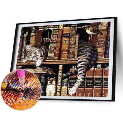 Cat On Bookshelf - Full Round Drill Diamond Painting 50*40CM