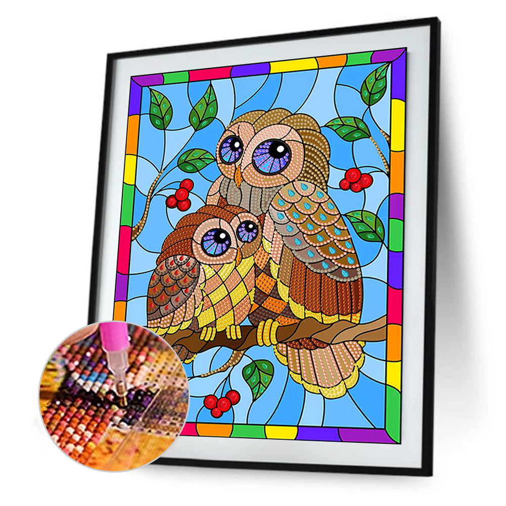Rainbow Owl - Special Shaped Drill Diamond Painting 30*40CM