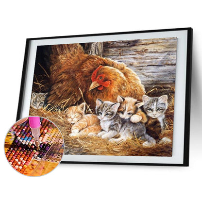 Cat In Chicken Coop - Full Round Drill Diamond Painting 40*30CM