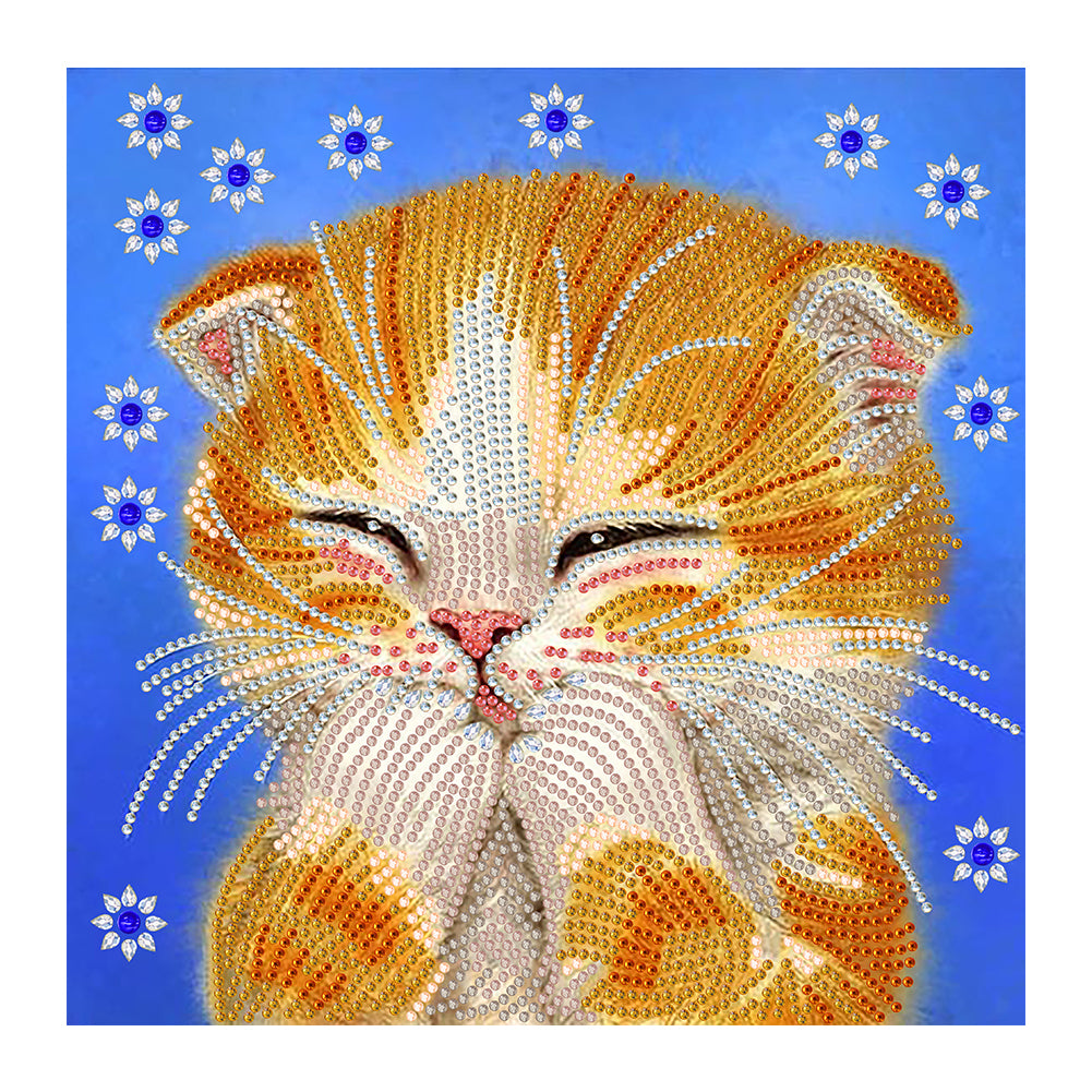 Cute Cat - Special Shaped Drill Diamond Painting 30*30CM