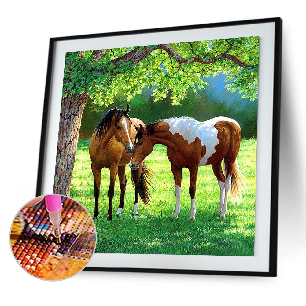 Horse On Grass - Full Square Drill Diamond Painting 50*50CM