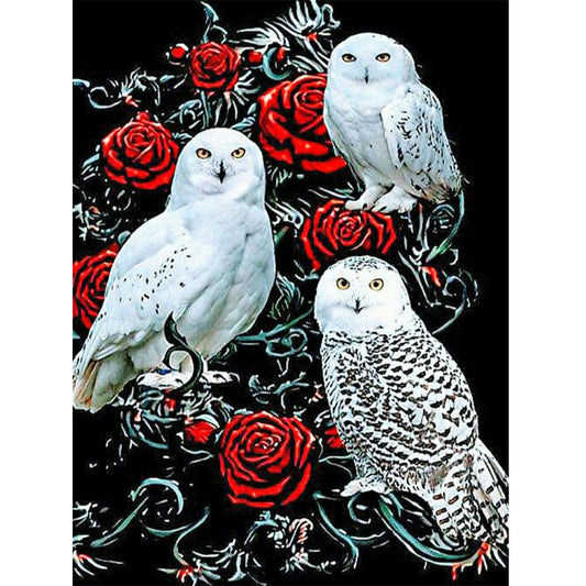 Owl - Full Round Drill Diamond Painting 40*50CM