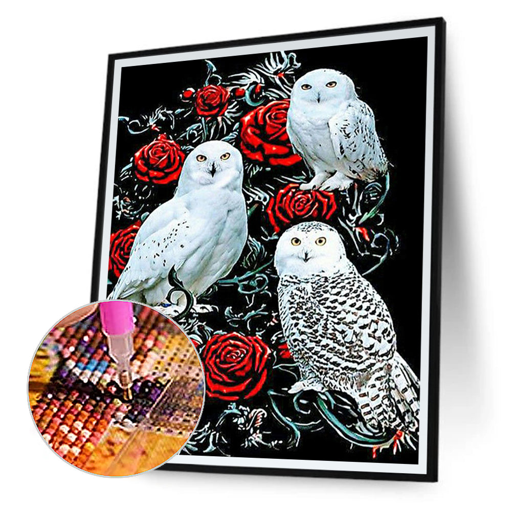 Owl - Full Round Drill Diamond Painting 40*50CM