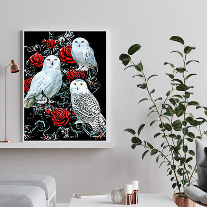 Owl - Full Round Drill Diamond Painting 40*50CM