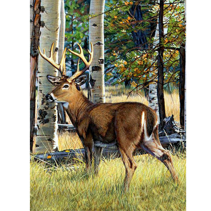 Elk - Full Round Drill Diamond Painting 40*50CM
