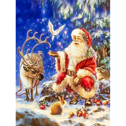 Santa Claus - Full Square Drill Diamond Painting 30*40CM