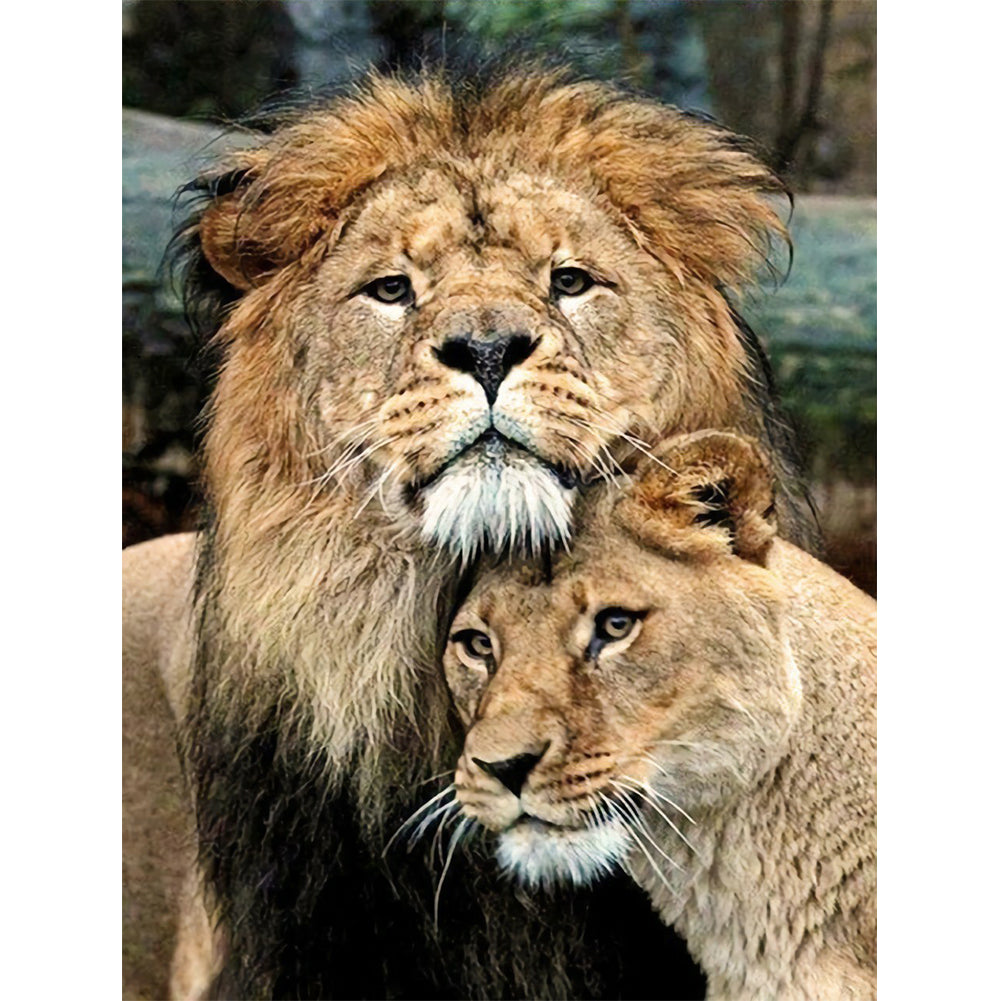 Lion - Full Round Drill Diamond Painting 30*40CM
