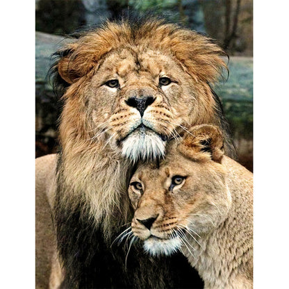 Lion - Full Round Drill Diamond Painting 30*40CM