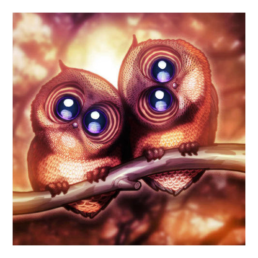 Big Eyed Owl - Full Round Drill Diamond Painting 30*30CM