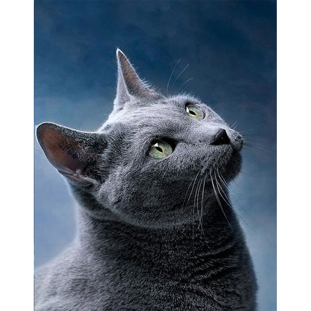 Grey Cat - Full Round Drill Diamond Painting 40*50CM