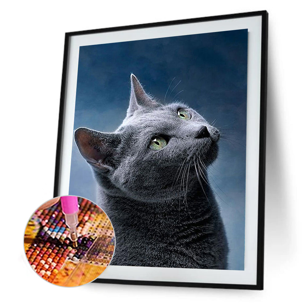 Grey Cat - Full Round Drill Diamond Painting 40*50CM