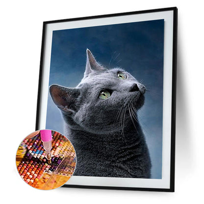 Grey Cat - Full Round Drill Diamond Painting 40*50CM