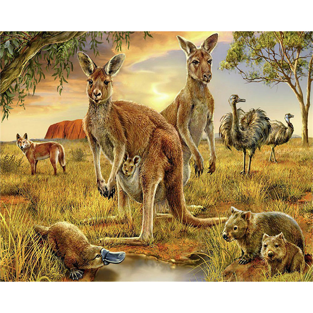 Kangaroo - Full Round Drill Diamond Painting 50*40CM