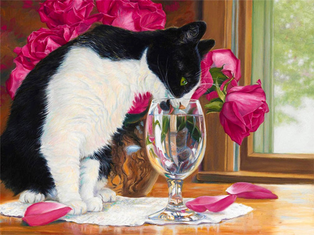 Bicolor Cat - Full Round Drill Diamond Painting 40*30CM