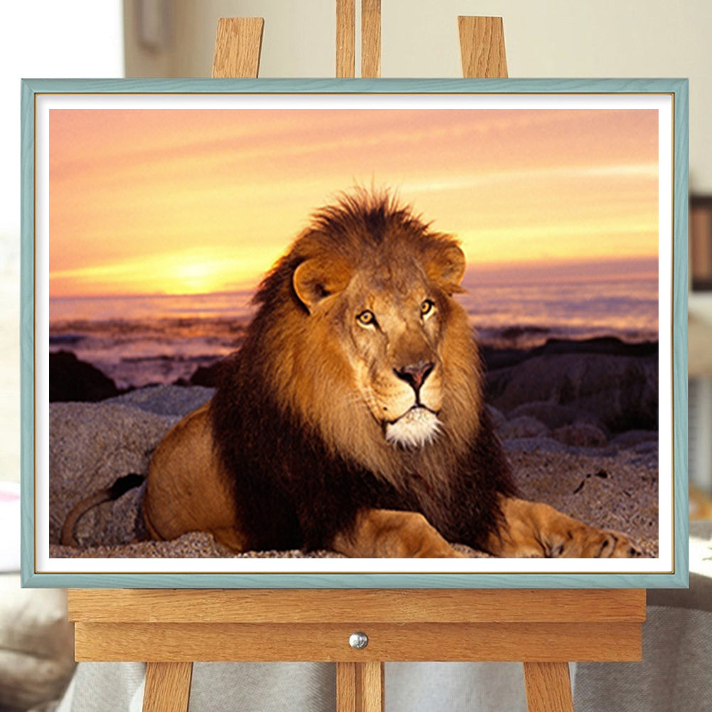 Lion - Full Round Drill Diamond Painting 40*30CM