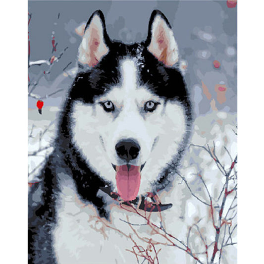 Husky - Full Round Drill Diamond Painting 30*40CM