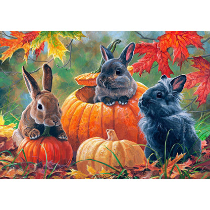 Pumpkin Black Rabbit - Full Round Drill Diamond Painting 40*30CM