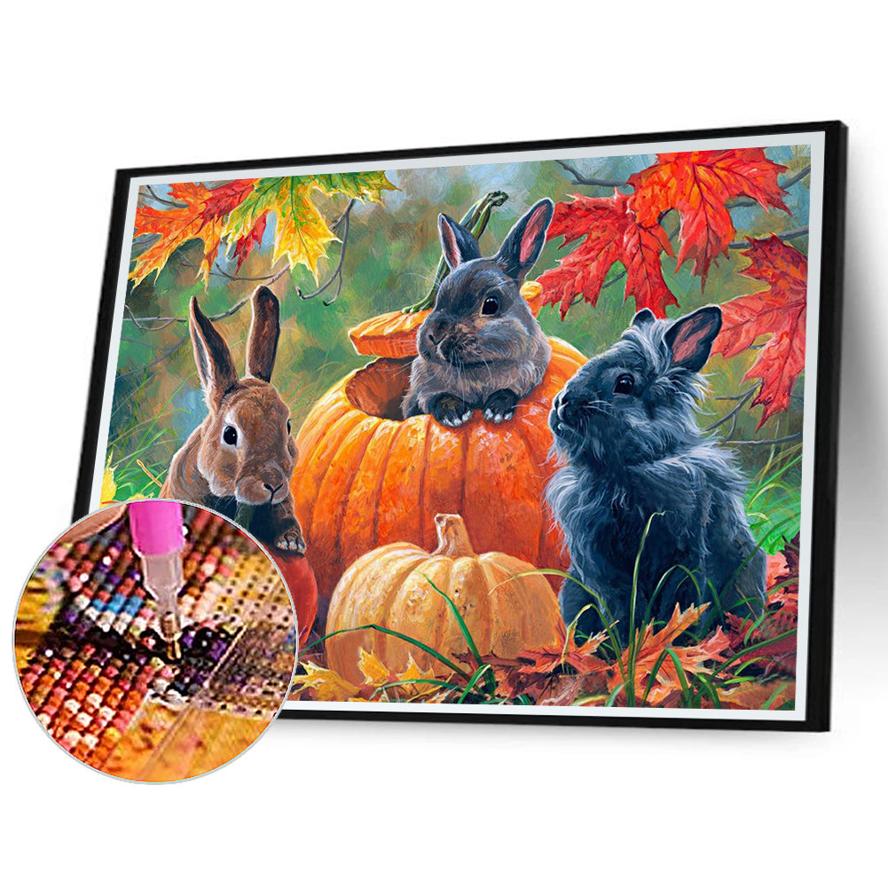 Pumpkin Black Rabbit - Full Round Drill Diamond Painting 40*30CM