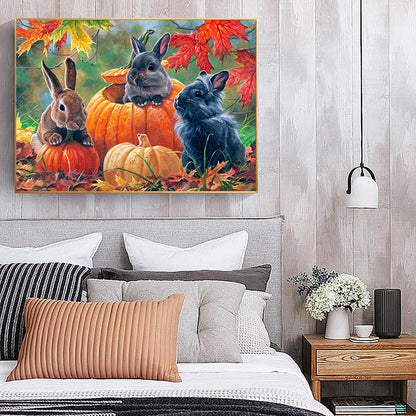 Pumpkin Black Rabbit - Full Round Drill Diamond Painting 40*30CM