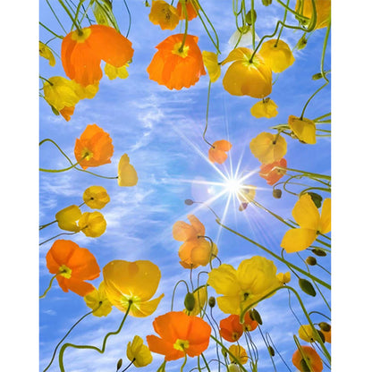 Sunshine Grass - Full Round Drill Diamond Painting 40*50CM