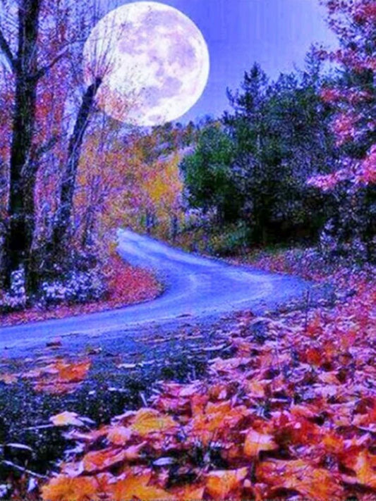 Moon Road - Full Round Drill Diamond Painting 30*40CM