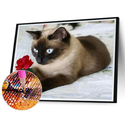 Siamese Cat 50*40CM(Canvas) Full Round Drill Diamond Painting