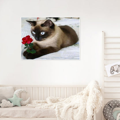 Siamese Cat 50*40CM(Canvas) Full Round Drill Diamond Painting