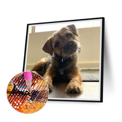 Puppy - Full Round Drill Diamond Painting 30*30CM