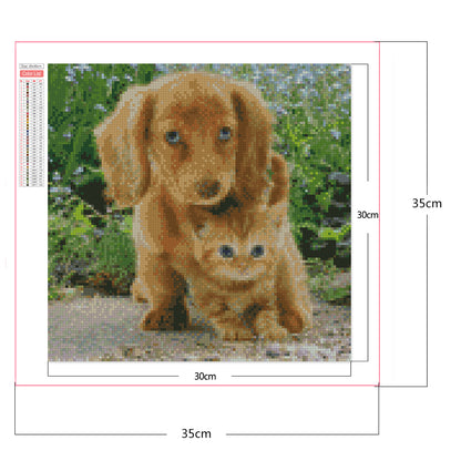 Dog And Cat - Full Square Drill Diamond Painting 30*30CM