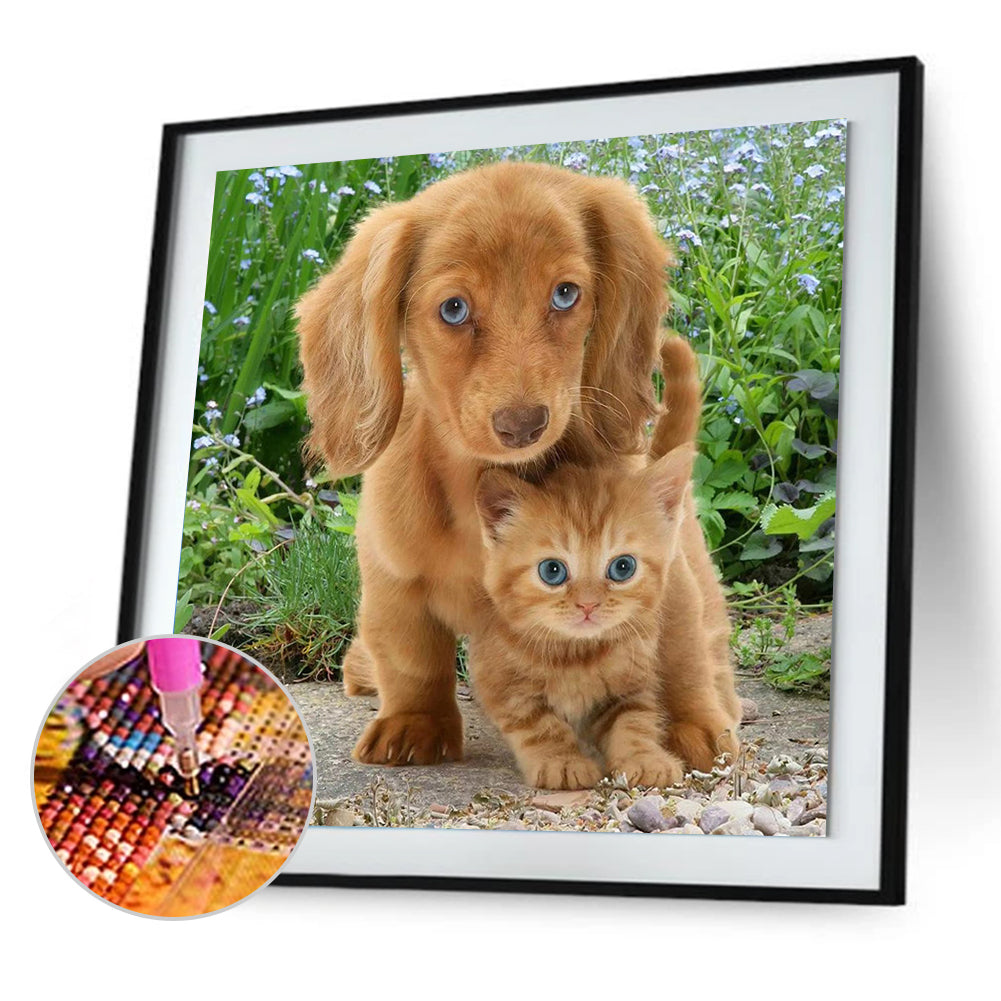 Dog And Cat - Full Square Drill Diamond Painting 30*30CM