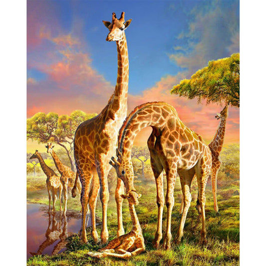 Herd Of Giraffes - Full Round Drill Diamond Painting 40*50CM