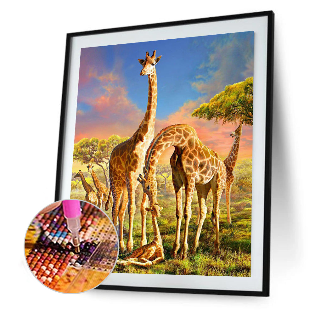 Herd Of Giraffes - Full Round Drill Diamond Painting 40*50CM