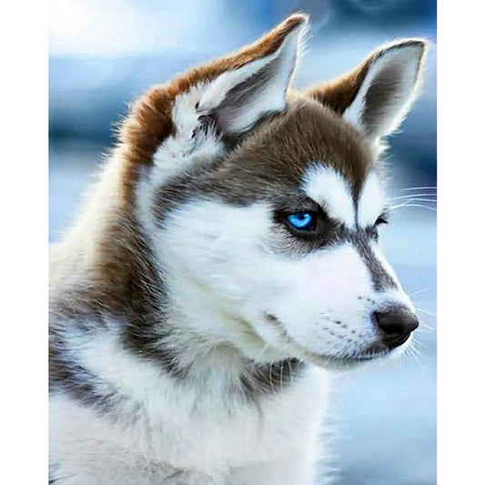 Husky - Full Round Drill Diamond Painting 40*50CM