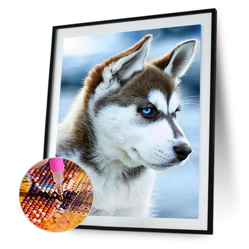 Husky - Full Round Drill Diamond Painting 40*50CM