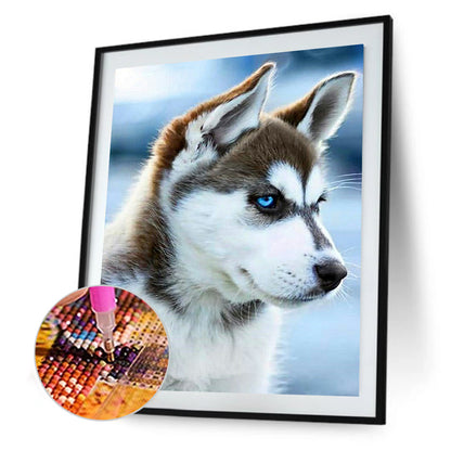 Husky - Full Round Drill Diamond Painting 40*50CM