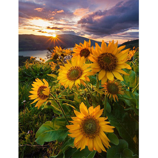 Sunflower 40*50CM(Canvas) Full Round Drill Diamond Painting