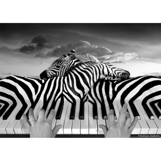 Piano Zebra - Full Round Drill Diamond Painting 40*30CM