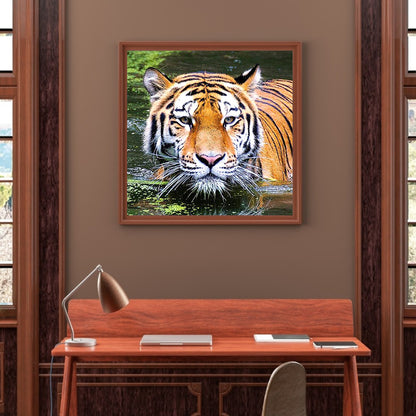 Tiger - Full Round Drill Diamond Painting 40*40CM