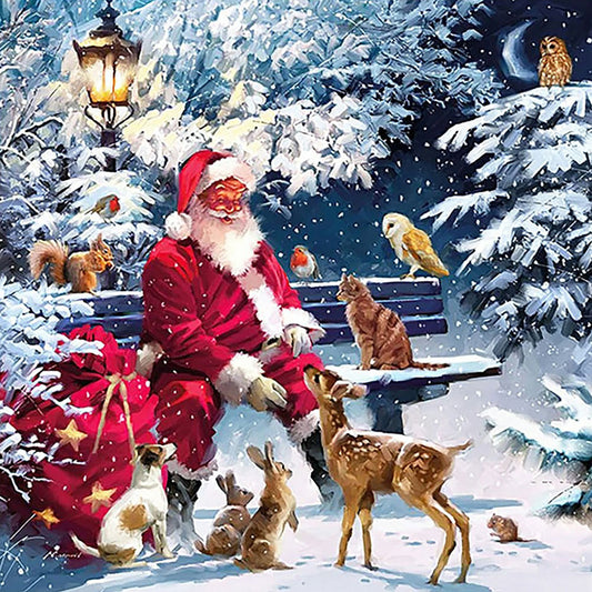 Santa Feeding The Pigeons - Full Square Drill Diamond Painting 50*50CM