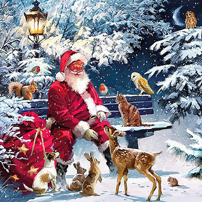 Santa Feeding Doves - Full Square Drill Diamond Painting 50*50CM