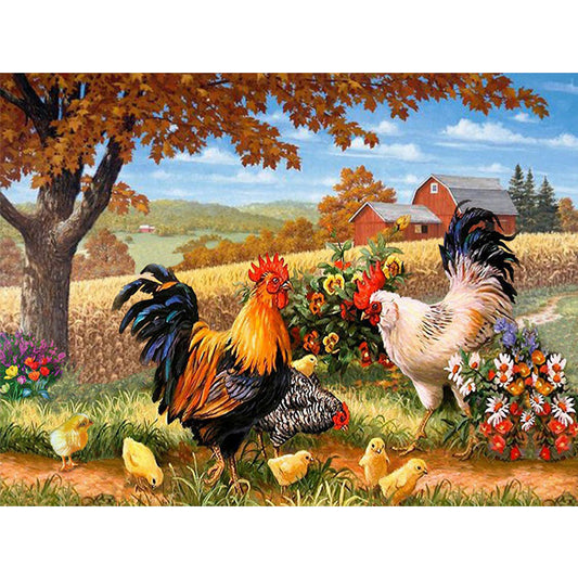 Chicken In The Field 50*40CM(Canvas) Full Square Drill Diamond Painting
