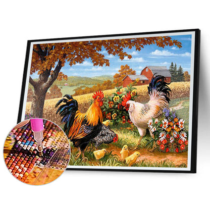 Chicken In The Field 50*40CM(Canvas) Full Square Drill Diamond Painting