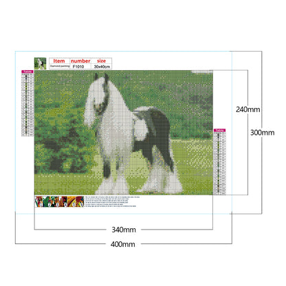 Gypsy Horse 40*30CM(Canvas) Full Square Drill Diamond Painting