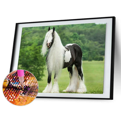 Gypsy Horse 40*30CM(Canvas) Full Square Drill Diamond Painting