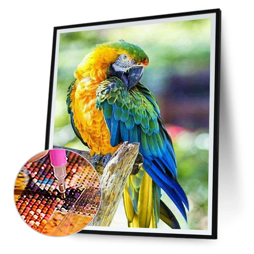 Parrot - Full Round Drill Diamond Painting 40*50CM