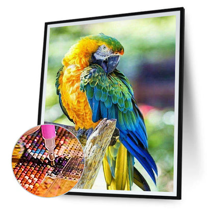 Parrot - Full Round Drill Diamond Painting 40*50CM