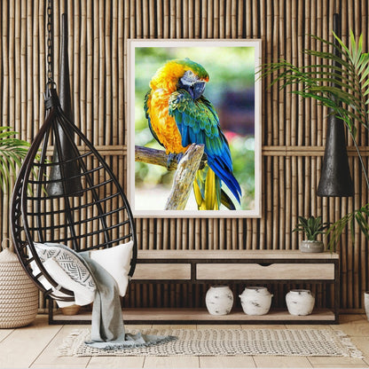 Parrot - Full Round Drill Diamond Painting 40*50CM