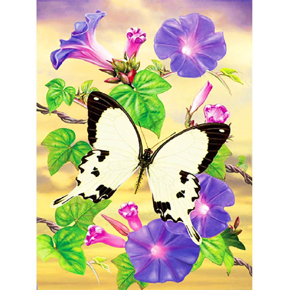 Morning Glory African White Swallowtail Butterfly 30*40CM(Canvas) Full Round Drill Diamond Painting