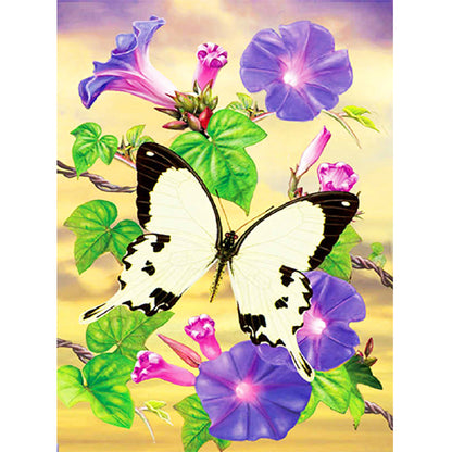 Morning Glory African White Swallowtail Butterfly - Full Round Drill Diamond Painting 30*40CM